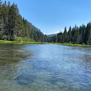 Meet your Posher, Serina